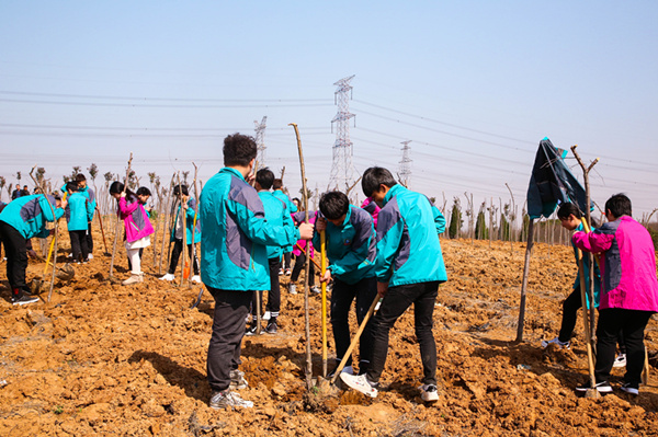 “攜手植樹，共創(chuàng)藍天”丨南京新華師生共筑新華育才林